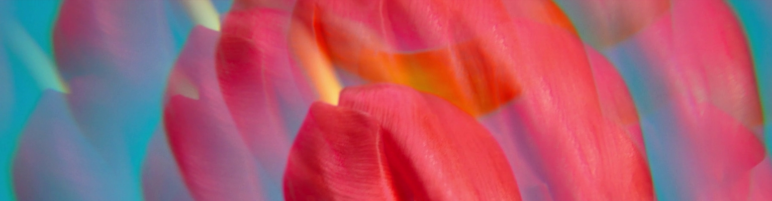 Les Parfums pour elle